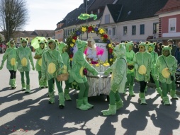 Faschingsumzug Gnas 2017