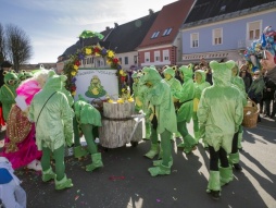 Faschingsumzug Gnas 2017