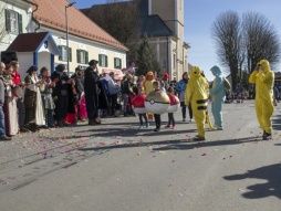 Faschingsumzug Gnas 2017