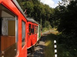 Ferien(s)pass - Reviergang mit Maierdorfer-Jäger