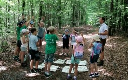 Ferien(s)pass 2019 - Wald und Wild