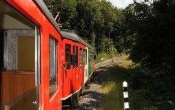 Ferien(s)pass - Reviergang mit Maierdorfer-Jäger